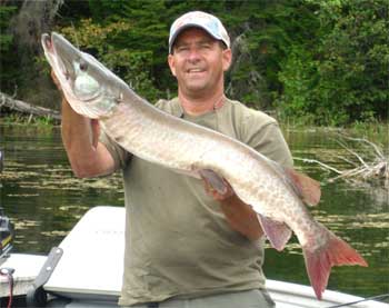 GIANT 44-inch Muskie Fishing at Fireside Lodge Canada